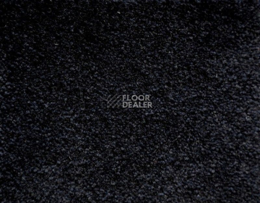 Ковролин Radici Lord Onice 249B фото 1 | FLOORDEALER